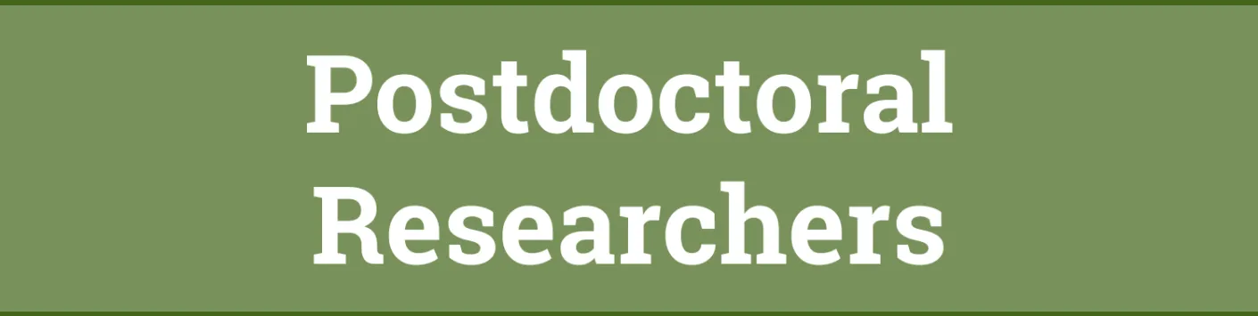 Postdoctoral Researchers - Results of the call Grants and Fellowships 2024