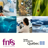 Collaboration Québec/Fédération Wallonie-Bruxelles : 6 nouveaux projets de recherche novateurs