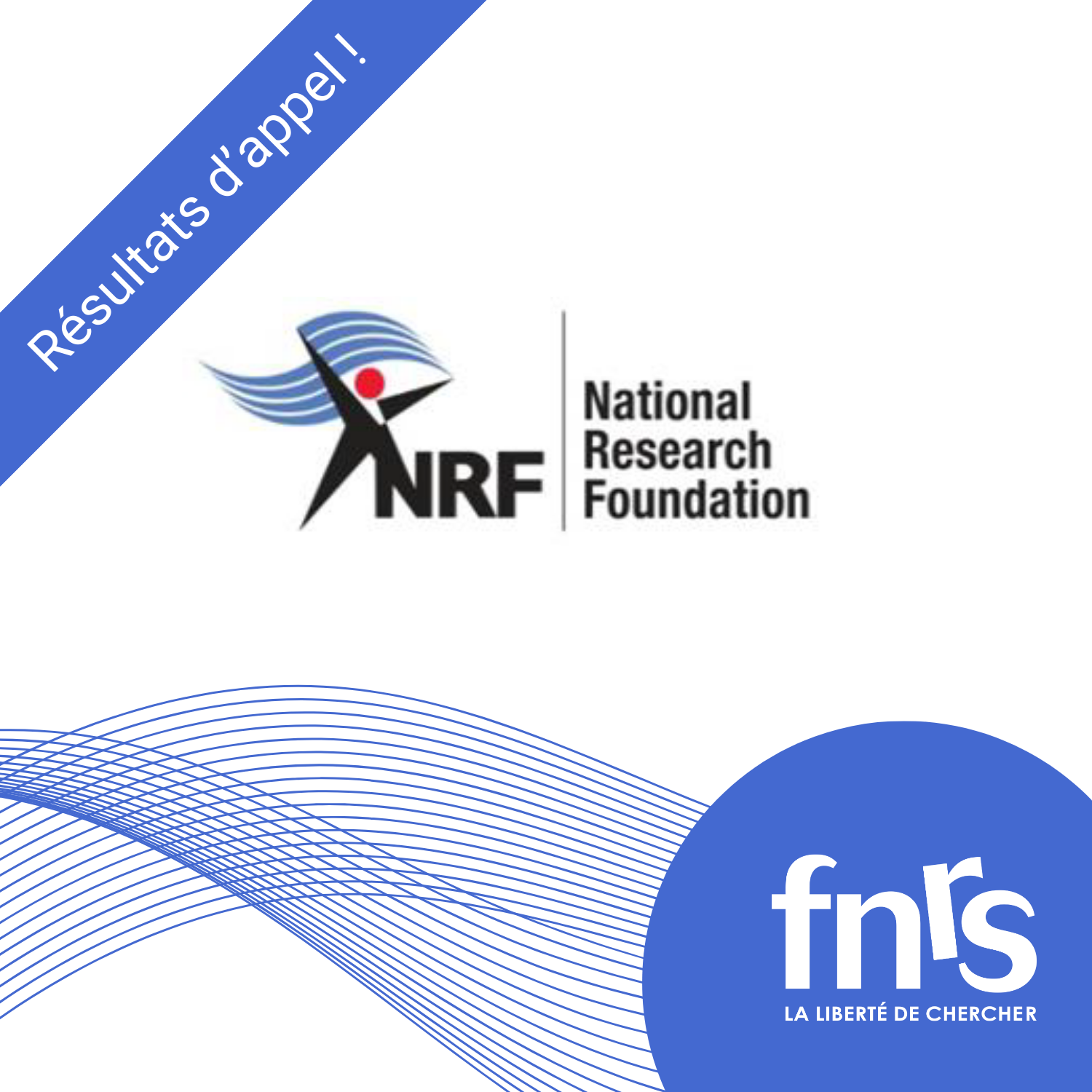 NRF-results-2024-FR