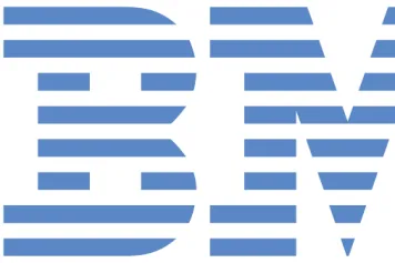 IBM Innovation Award