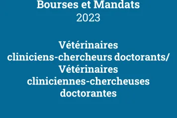 Résultats de l’appel Bourses et mandats 2023 – Vétérinaires cliniciennes-chercheuses doctorantes/Vétérinaires cliniciens-chercheurs doctorants