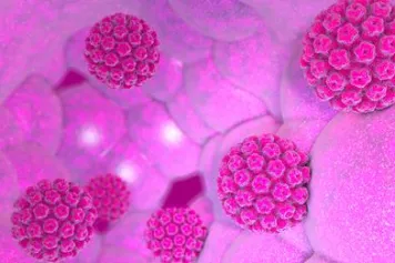 Aperçu moléculaire du détournement de la réparation de l'ADN de l'hôte par HPV