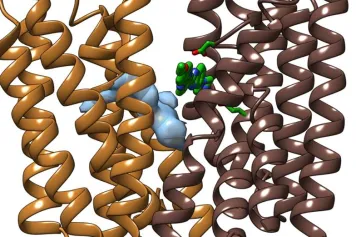 PUBLICATION SCIENTIFIQUE | Un pas de plus vers la compréhension de la résistance des bactéries aux antibiotiques
