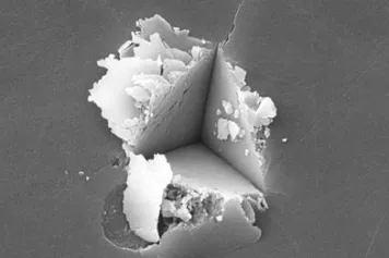 Les propriétés surprenantes des biominéraux
