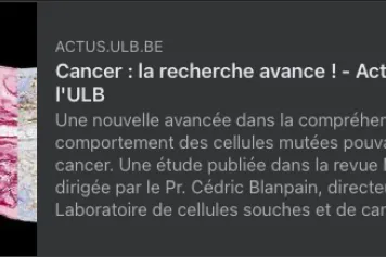 Le rôle du collagène dans certains cancers de la peau : une nouvelle publication de Nordin Bansaccal, Boursier FRIA-FNRS de 2020 à 2023, et ses collègues, dirigée par Cédric Blanpain, Professeur, Promoteur d'instruments FNRS et Télévie, directeur du Labor