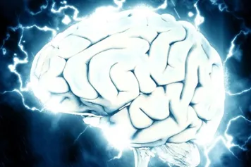 Le cerveau ne laisse pas de place au hasard