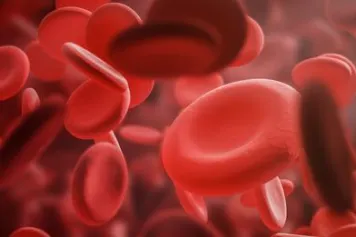 ? L’anémie de Diamond-Blackfan : nouvelles du front