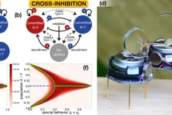 L'inhibition croisée conduit à un consensus de groupe malgré la présence de minorités aux opinions tranchées et de comportements asociaux