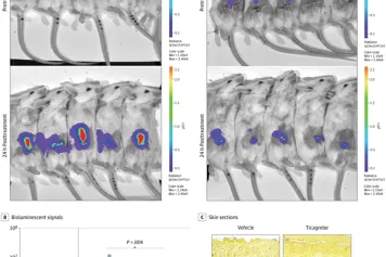 Découverte scientifique
