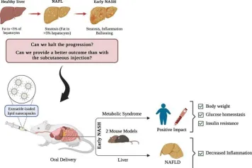 Exploitation de l'effet biologique des nanocapsules lipidiques dans la stéatose hépatique non alcoolique