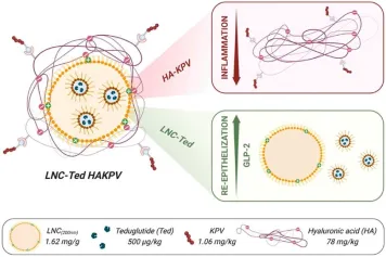 Une plateforme de nanoparticules pour la cicatrisation des muqueuses et l'immunomodulation dans le traitement des maladies inflammatoires de l'intestin