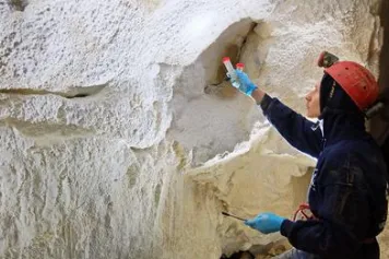 Un nouvel antibiotique découvert dans une grotte de Comblain-au-Pont 
