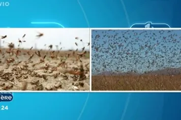 RADIO | ? "23h58", une série RTBF en partenariat avec le FNRS - épisode 4