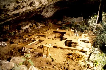Les Éclaireurs La Première - RTBF, Pierre de Maret, Pro-Recteur de l'ULB
