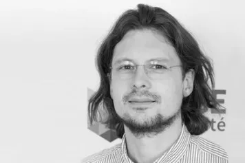 Steve Majerus, Chaire Francqui 