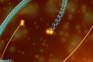 Une valse stellaire à 4 temps