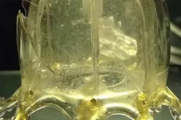 Les vacances, c'est aussi avoir du temps pour regarder en toute décontraction toutes les capsules Z-Science que vous avez loupées pendant l'année, que ce soit à la télé ou devant votre PC ...