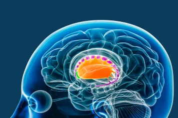 Percer les mystères de la prise de décision