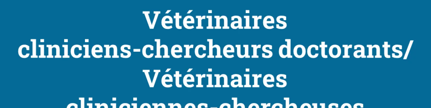 Résultats de l’appel Bourses et mandats 2023 – Vétérinaires cliniciennes-chercheuses doctorantes/Vétérinaires cliniciens-chercheurs doctorants
