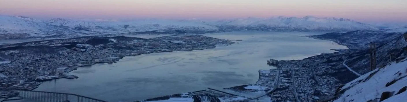 Arctique: une banquise fragile et ...très convoitée ! 