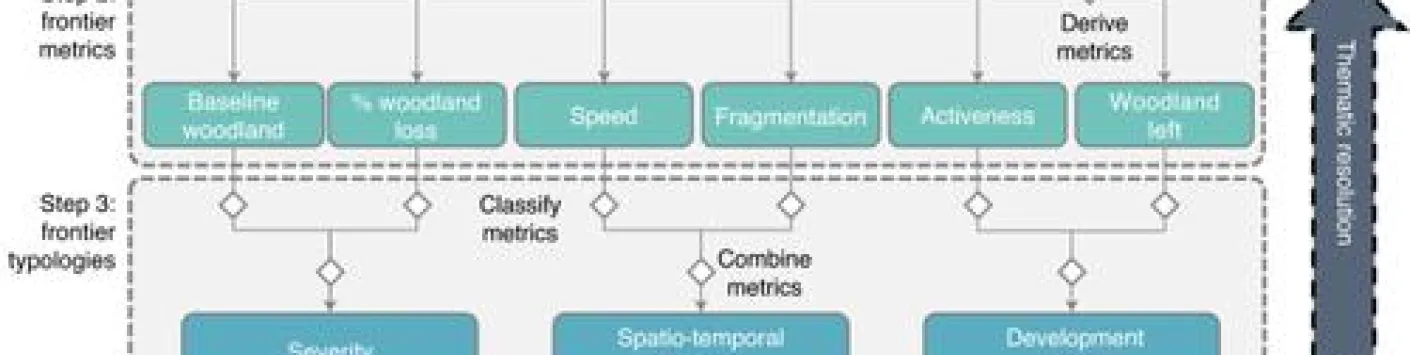 Identification des "frontières de la déforestation"