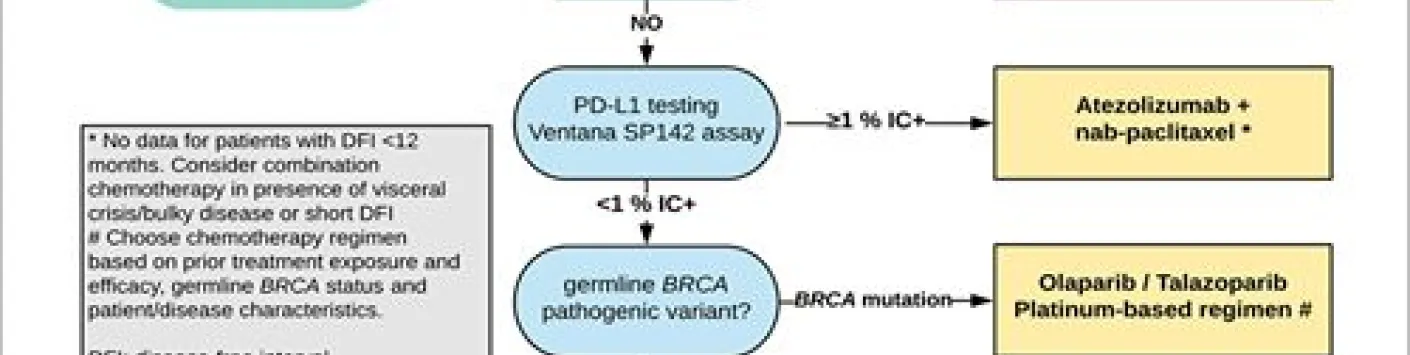 PUBLICATION SCIENTIFIQUE | Gestion clinique des patientes de première ligne atteintes d'un cancer du sein triple négatif avancé