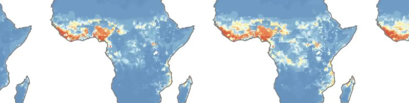 Impact du réchauffement climatique sur l'expansion du virus de Lassa