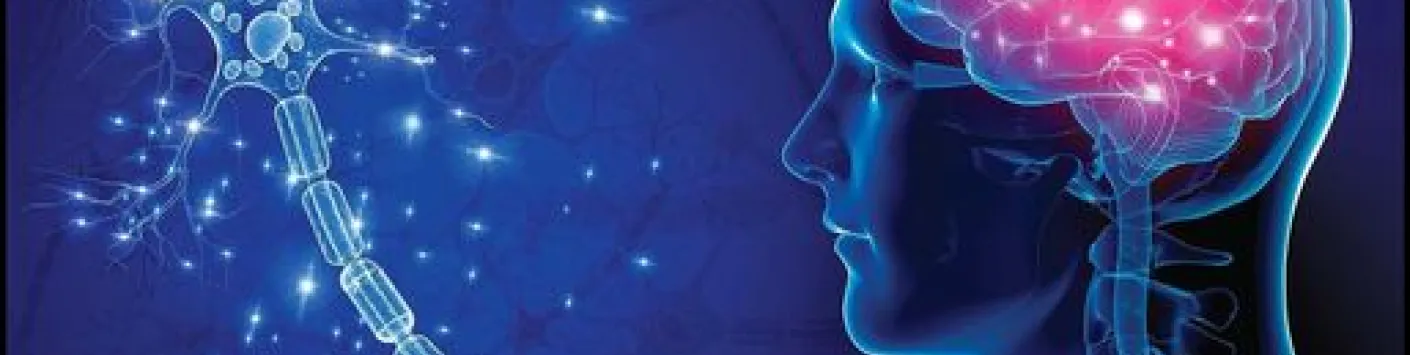 A lire : "Neocortical Neurogenesis in Development and Evolution, One"