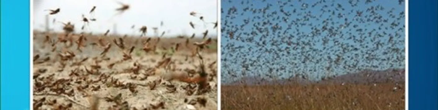 RADIO | ? "23h58", une série RTBF en partenariat avec le FNRS - épisode 4