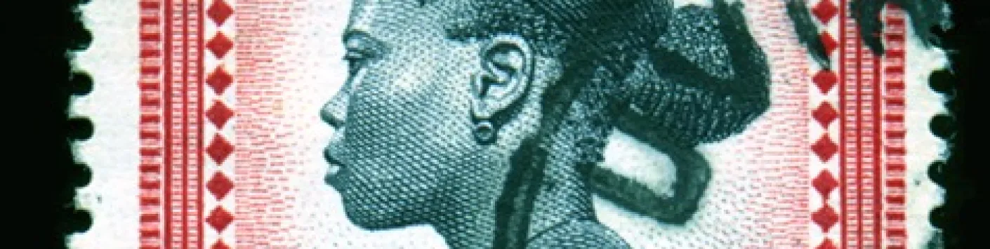 "Le Congo colonial, une histoire en question"