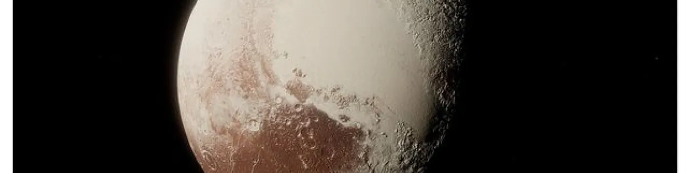 Les objets transneptuniens sous l'oeil des téléscopes TRAPPIST